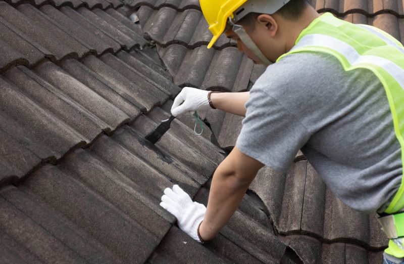 Roof Repair and Patchwork